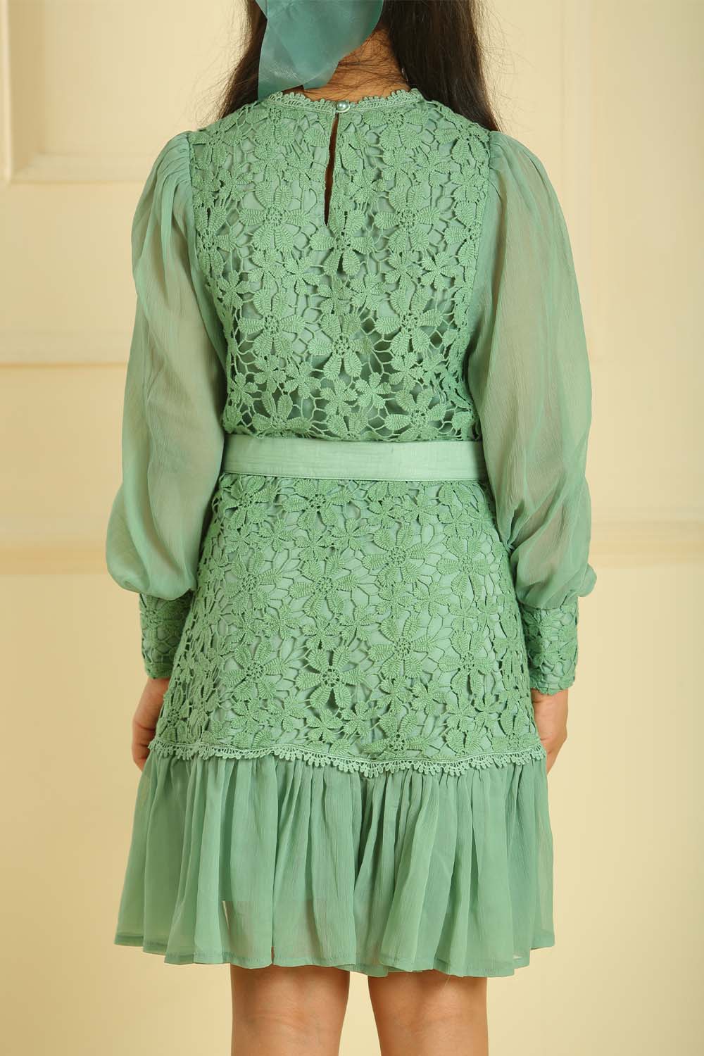 Lush Embroidered Dress