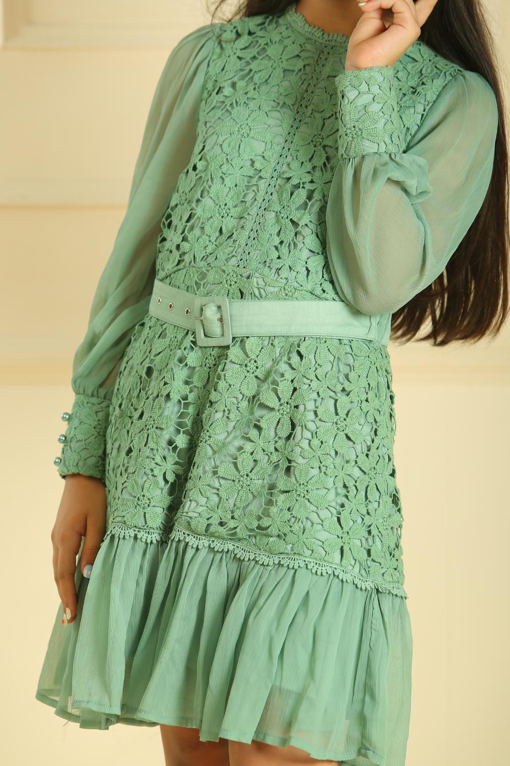 Lush Embroidered Dress